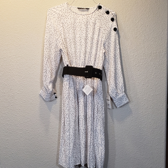 Zara Dresses & Skirts - Zara polka dots dress
